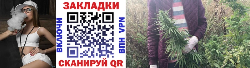 Купить закладку Моршанск БУТИРАТ  Альфа ПВП  Амфетамин  Меф  Бошки Шишки  Cocaine  НБОМе  ГАШИШ 