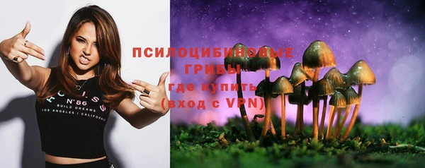 jwh Новозыбков