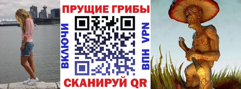 наркошоп Моршанск Псилоцибиновые грибы GOLDEN TEACHER